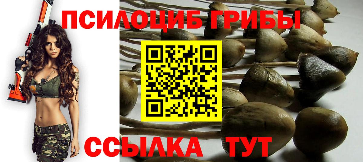 Миасс  Галлюциногенные грибы Cubensis  Вход с VPN 