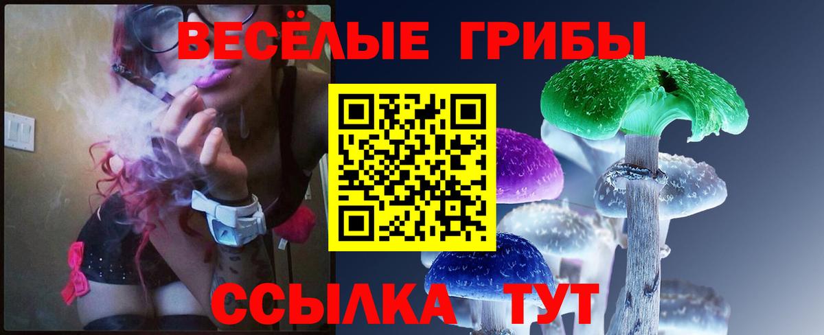 Галлюциногенные грибы прущие грибы Миасс